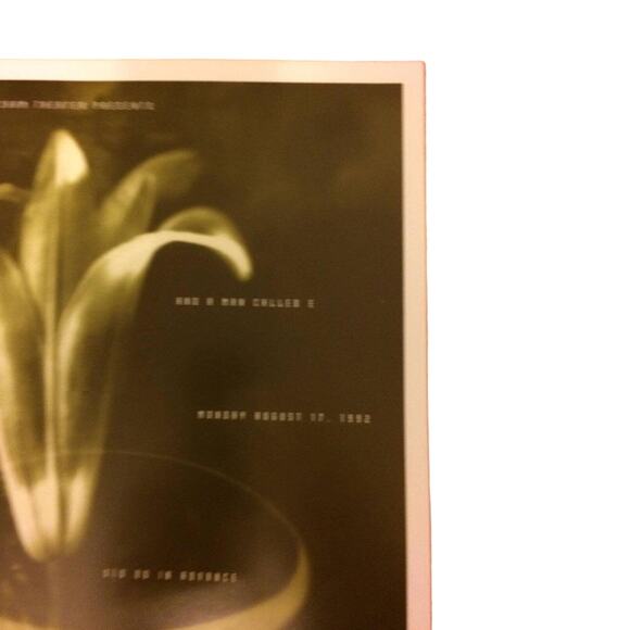 TORI AMOS & A Man Called E 1992 Beacham Theater Concert Poster RARE! 11x17 - Picture 6 of 11